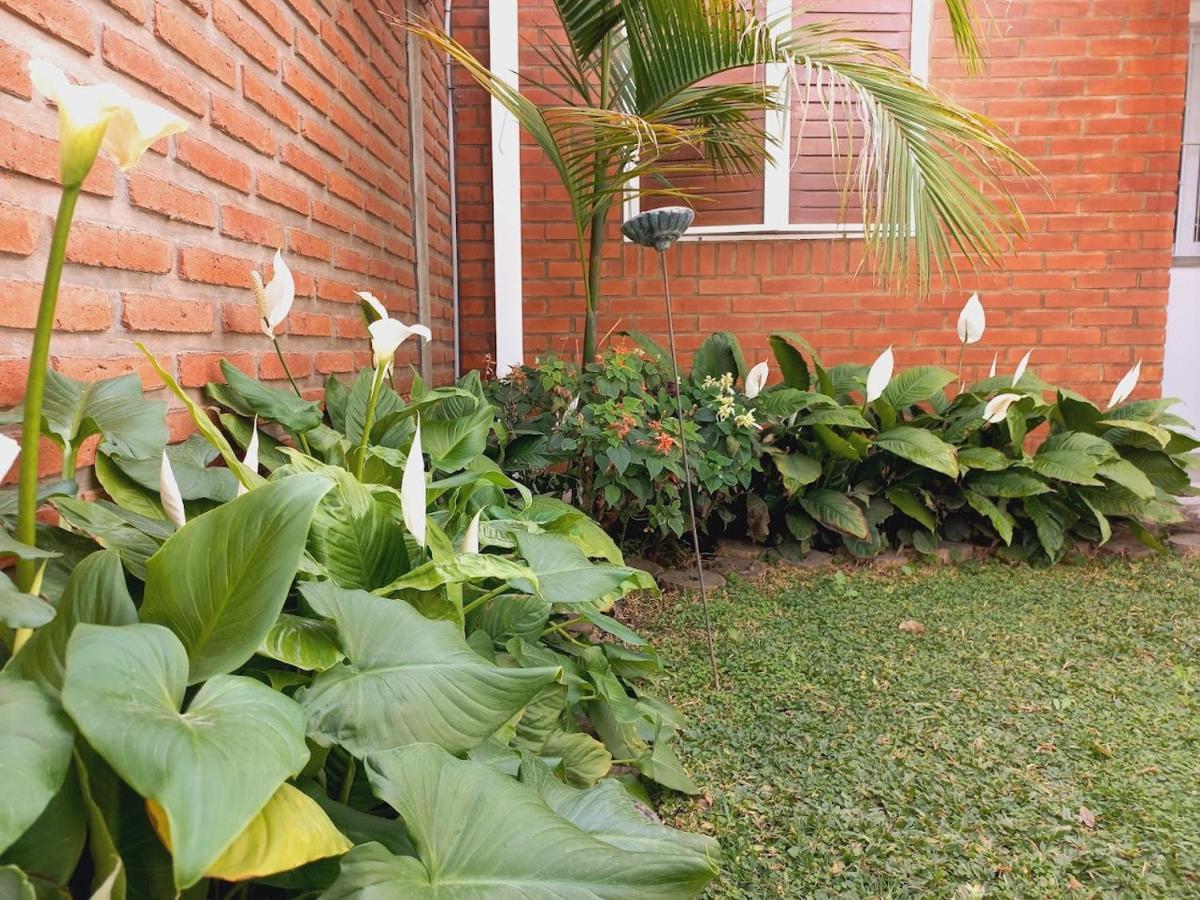 Aeropuerto A 5' Y Ruta Del Vino A 100 Mts Apartment ซัลตา ภายนอก รูปภาพ